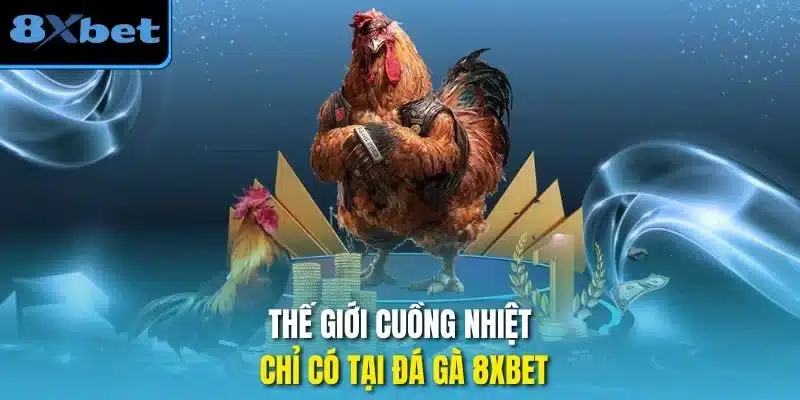 Thế giới cuồng nhiệt chỉ có tại đá gà 8xbet